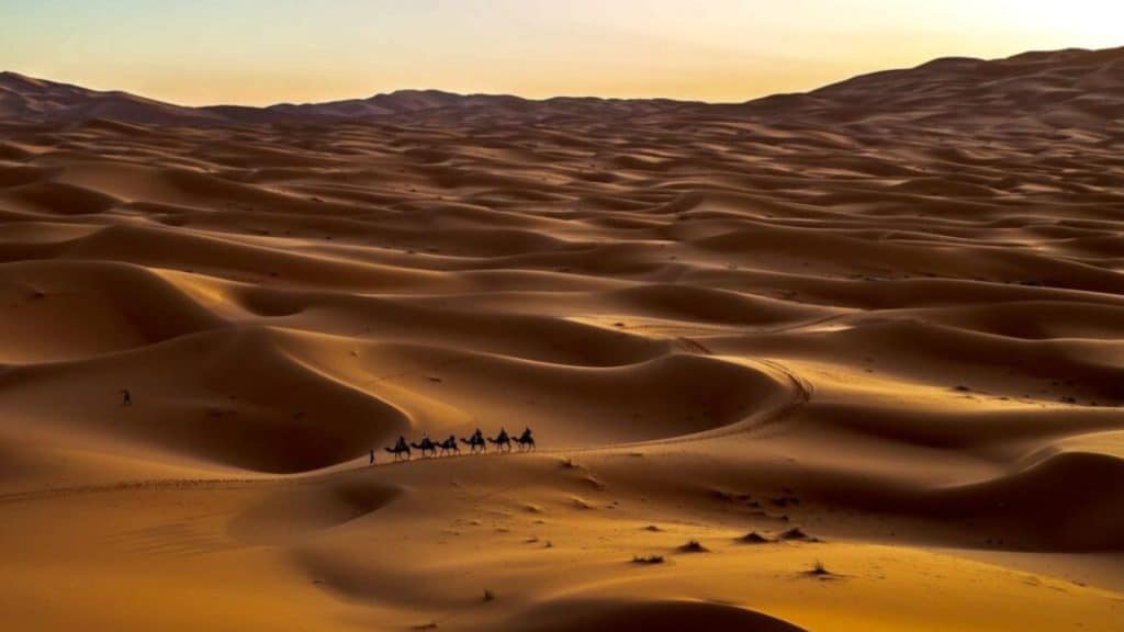 Vista del deserto con cammelli sullo sfondo in Marocco